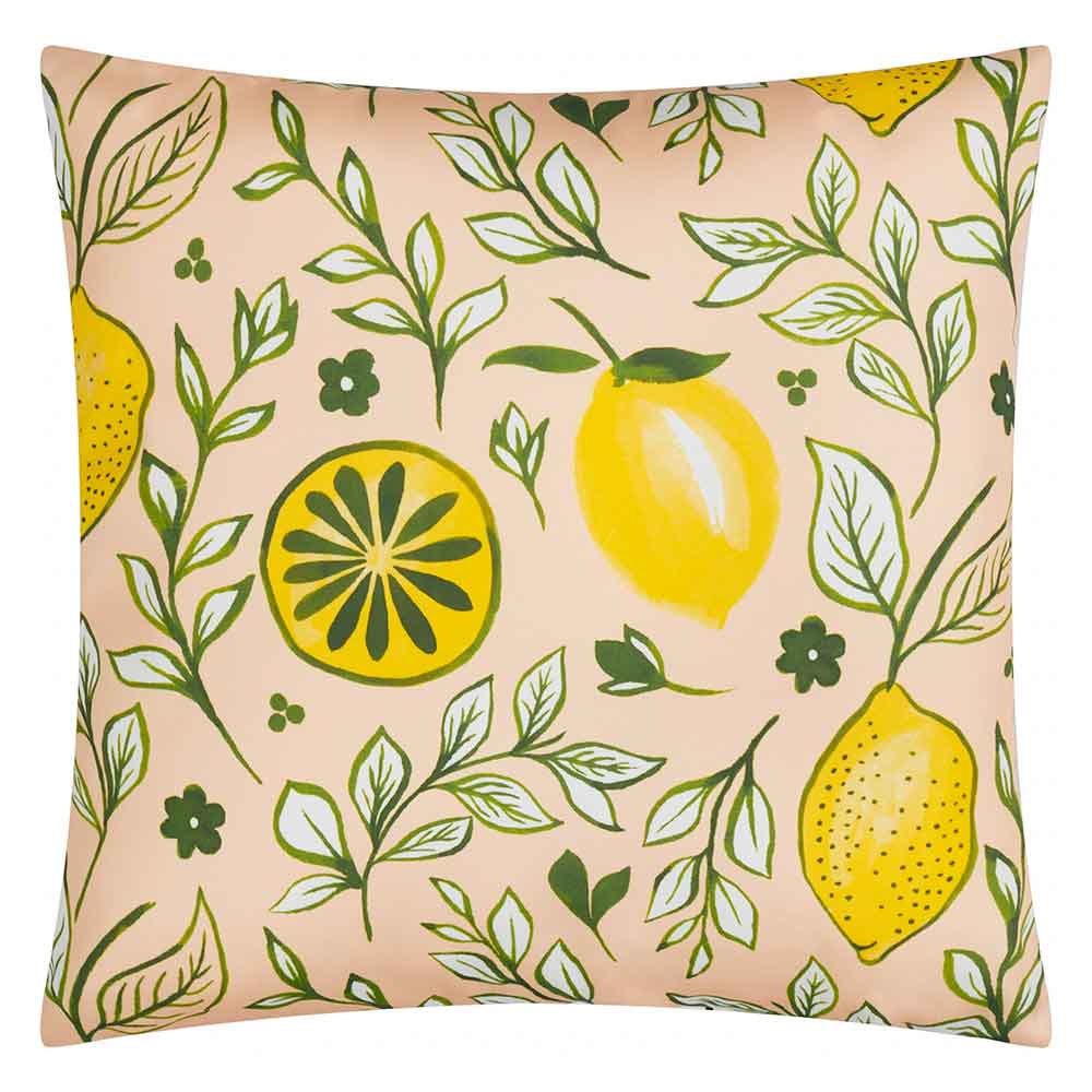 Furn Citronello Outdoor Cushion, 45 x 45cm - Peach image 0