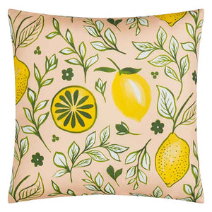 Furn Citronello Outdoor Cushion, 45 x 45cm - Peach image 0