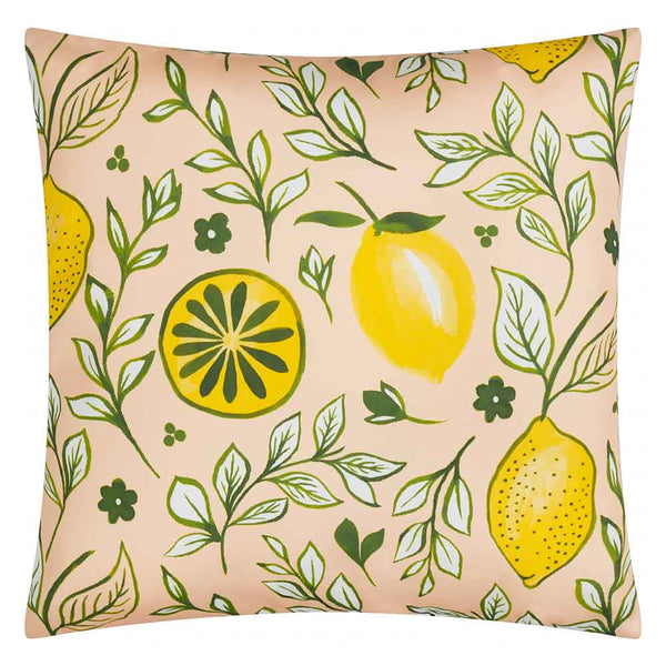 Furn Citronello Outdoor Cushion, 45 x 45cm - Peach image 0