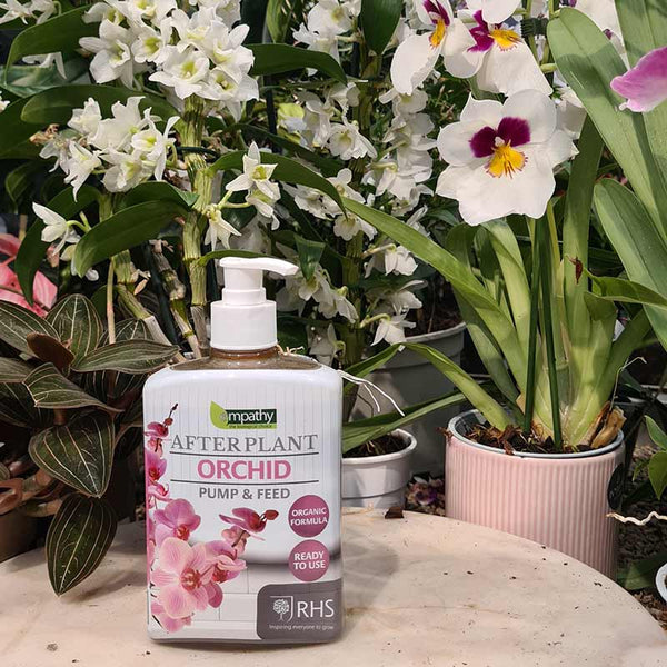 Empathy After Plant Orchid Pump & Feed (500ml) image 2