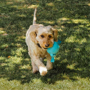 Zoon Uber-Activ TriBall Dog Toy (Assorted Designs) image 4