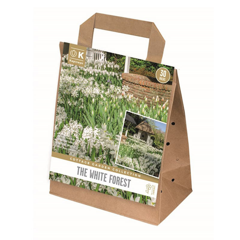 Cottage Garden Collection ‘White Forest Garden’ (30 Bulbs) image 0