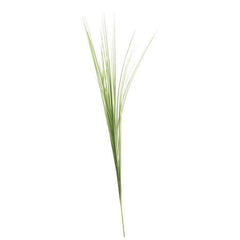 Bear Grass Stem (72cm) image 0