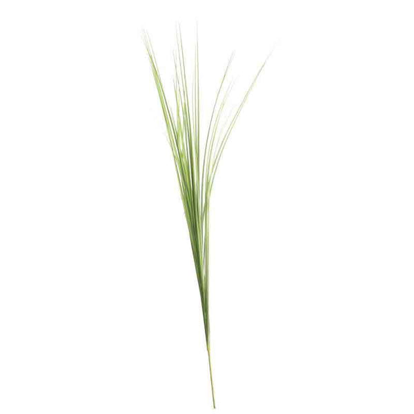 Bear Grass Stem (72cm) image 0