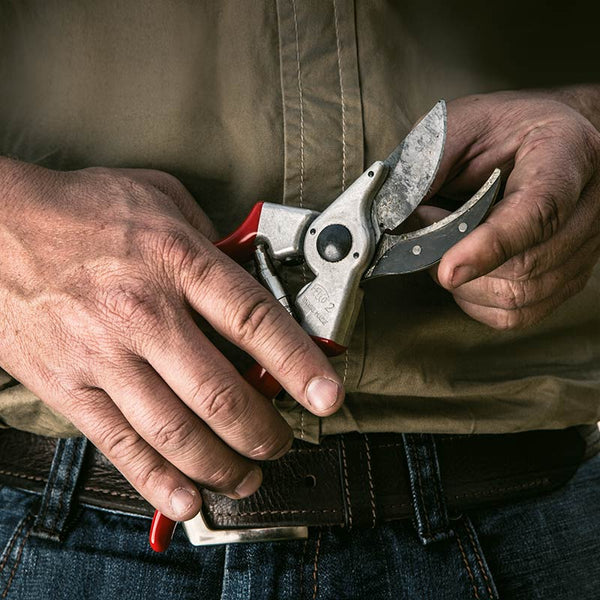 FELCO Model 2 Original Bypass Secateurs image 3