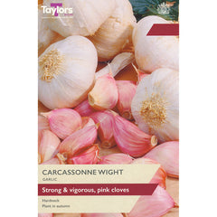 'Carcassonne Wight' Garlic (1 Bulb) image 0