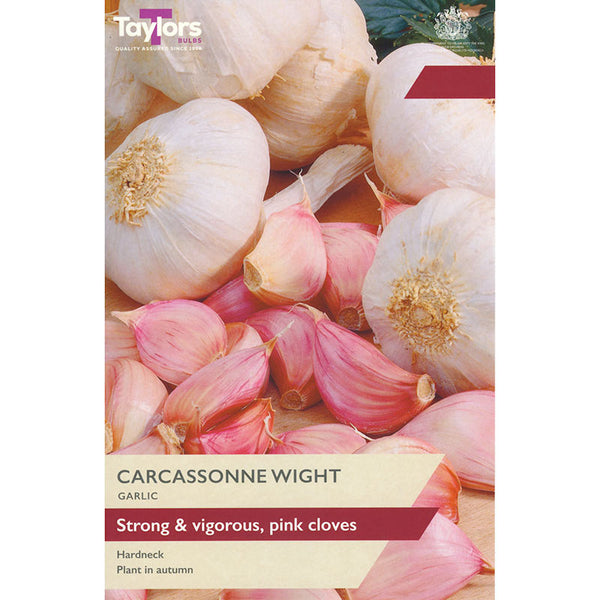 'Carcassonne Wight' Garlic (1 Bulb) image 0