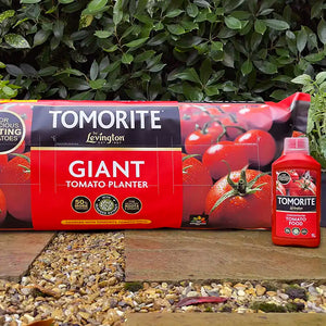 Levington Tomorite Giant Tomato Planter (52 litres) image 3