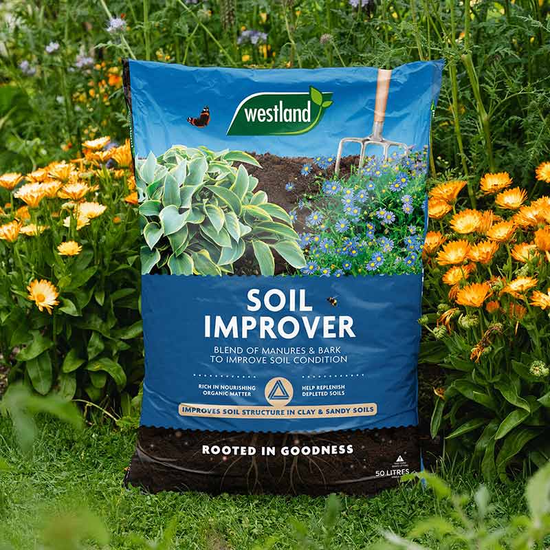 Westland Soil Improver (50-Litres) image 0