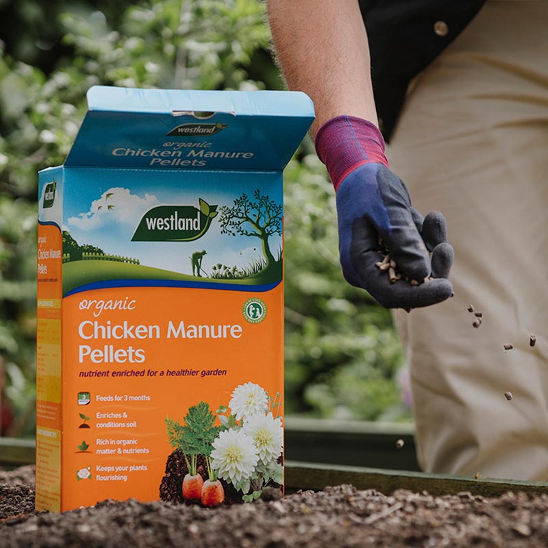 Westland Organic Chicken Manure Pellets image 0