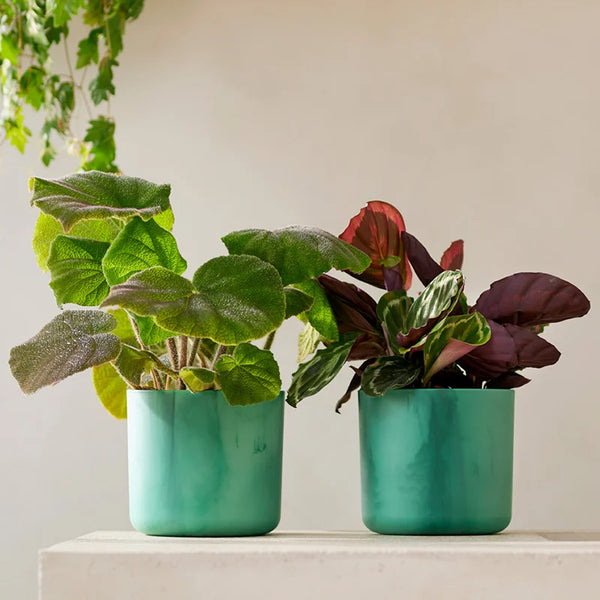 elho® Ocean Collection Round 22cm Pacific Green Pot image 1