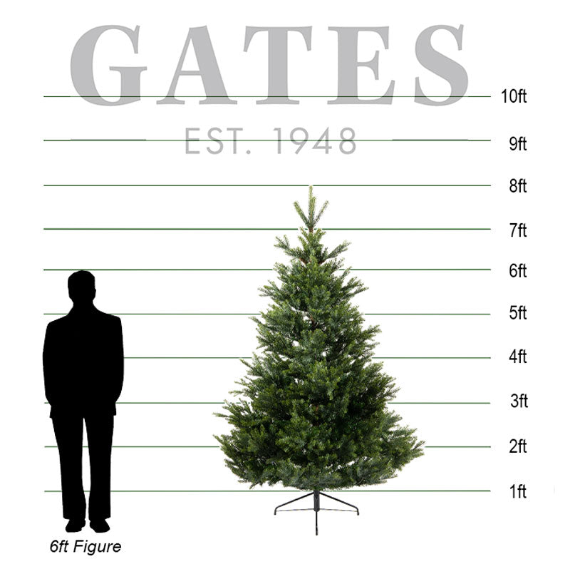 Everlands Arlberg Fir Artificial Christmas Tree - 8ft / 2.4m image 0