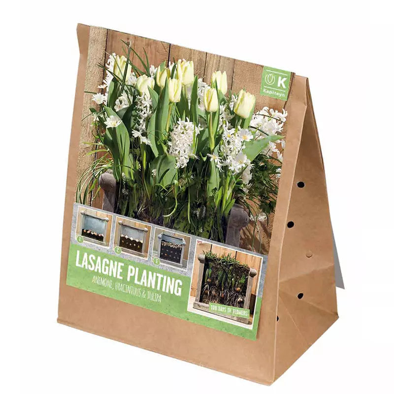 Lasagne Planting Bulb Mix 'White' (40 bulbs) image 0