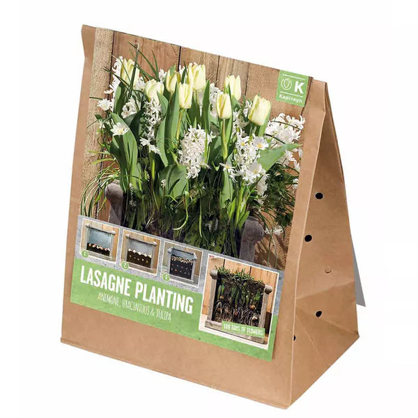 Lasagne Planting Bulb Mix 'White' (40 bulbs) image 0