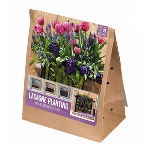 Lasagne Planting Bulb Mix 'Pink & Blue' (40 bulbs) image 2
