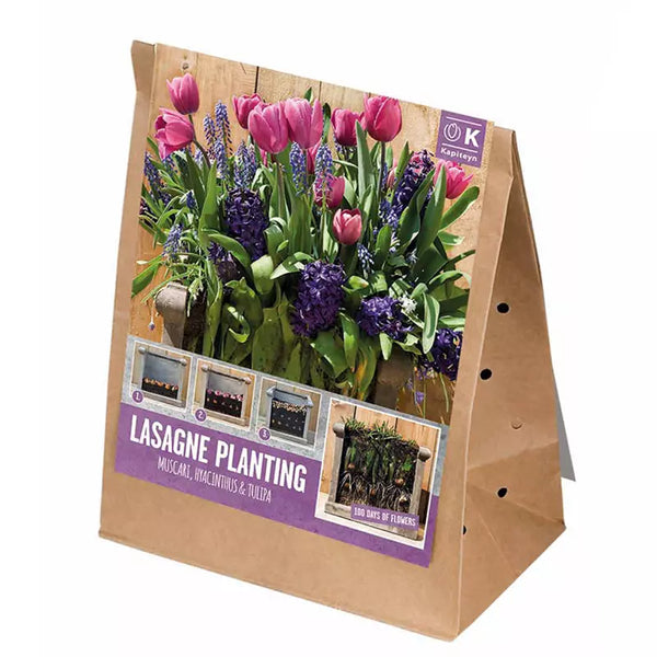 Lasagne Planting Bulb Mix 'Pink & Blue' (40 bulbs) image 2