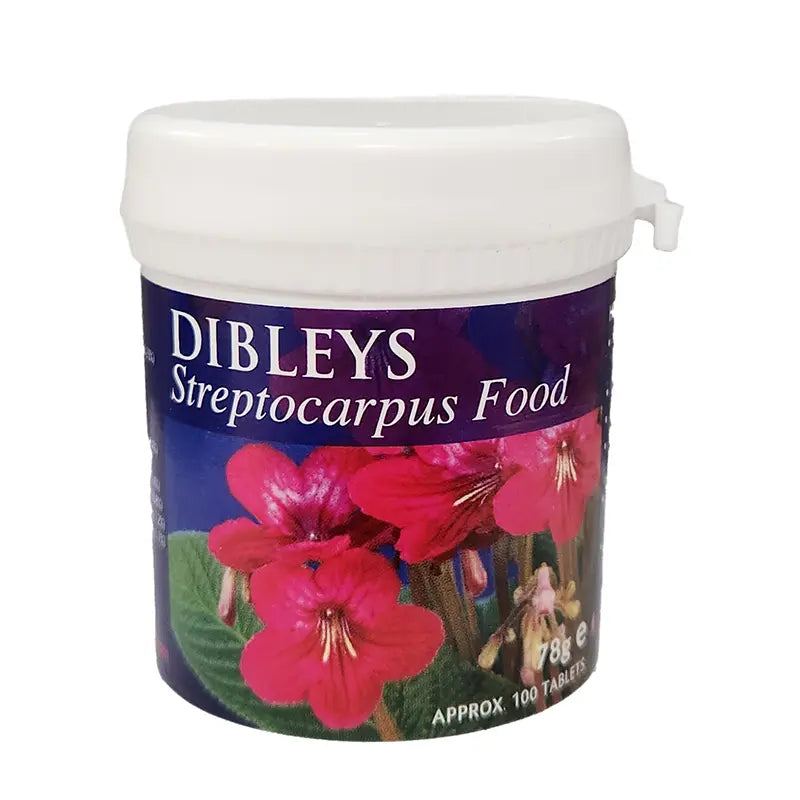 Dibleys Streptocarpus Plant Food (100 Tablets) image 0