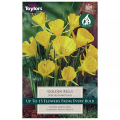 Narcissus 'Golden Bells' Daffodils (6 bulbs) image 0