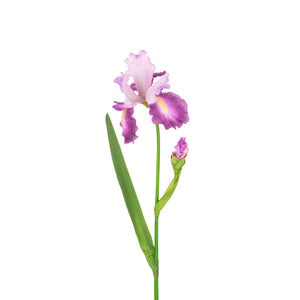 Floralsilk Flag Iris Stem (90cm) - Pink Purple image