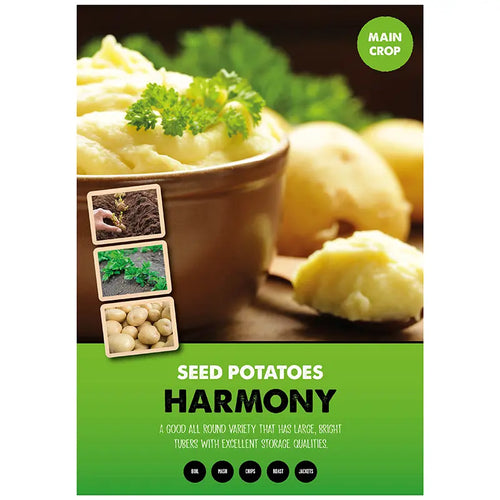 Harmony Main Crop Seed Potatoes image 0