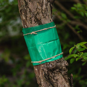 Westland Growing Success Glue Band Traps 1.75m image 1