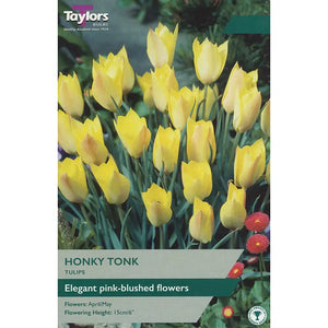 Tulip 'Honky Tonk' (10 bulbs) image 0
