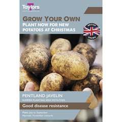 'Pentland Javelin' Christmas Harvest Summer Planting Seed Potatoes (Pack of 10) image 0