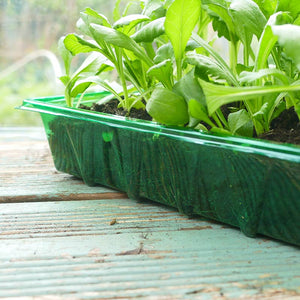 Gro-Sure Visiroot Seed Tray (Pack of 4) image 2