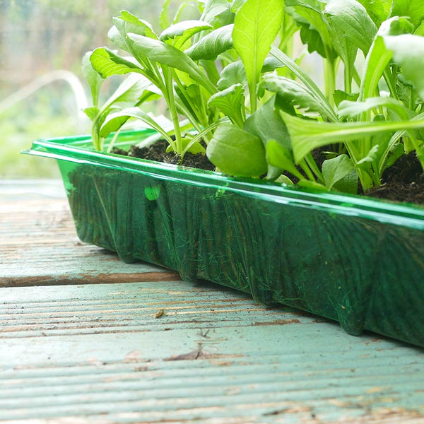 Gro-Sure Visiroot Seed Tray (Pack of 4) image 2