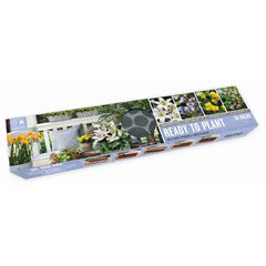 Ready to Plant Balcon-O-Mat 'Galaxy Shades' (38 bulbs) image 0
