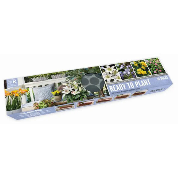 Ready to Plant Balcon-O-Mat 'Galaxy Shades' (38 bulbs) image 0