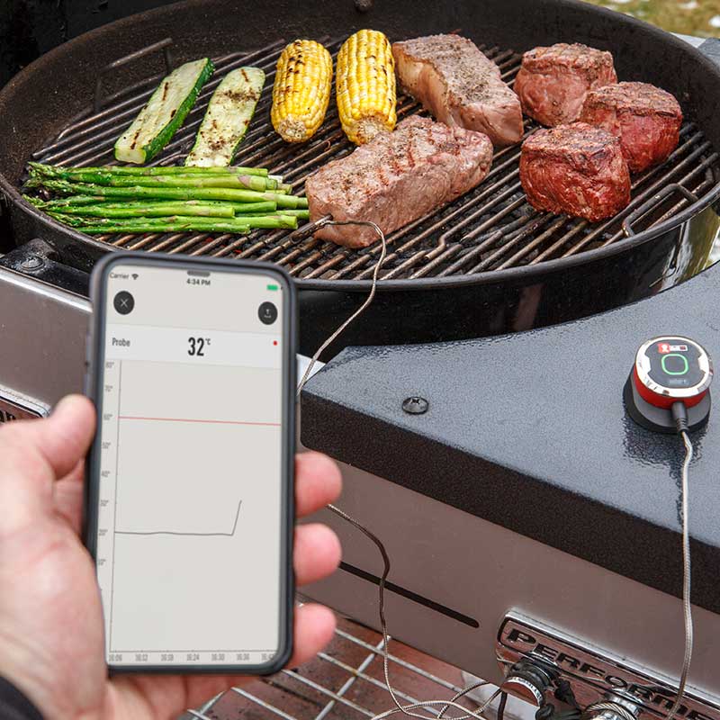 Weber iGrill Mini image 0