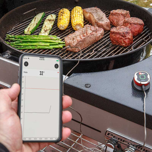 Weber iGrill Mini image 0