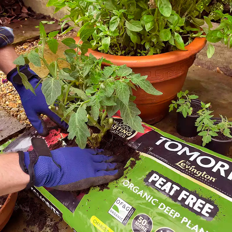 Levington® Tomorite Peat Free Organic Planter (42 litres) image 0