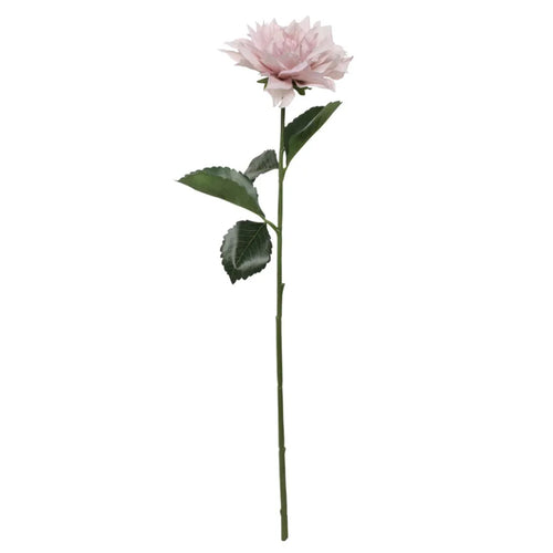 Single Dahlia Stem (61cm) image 3