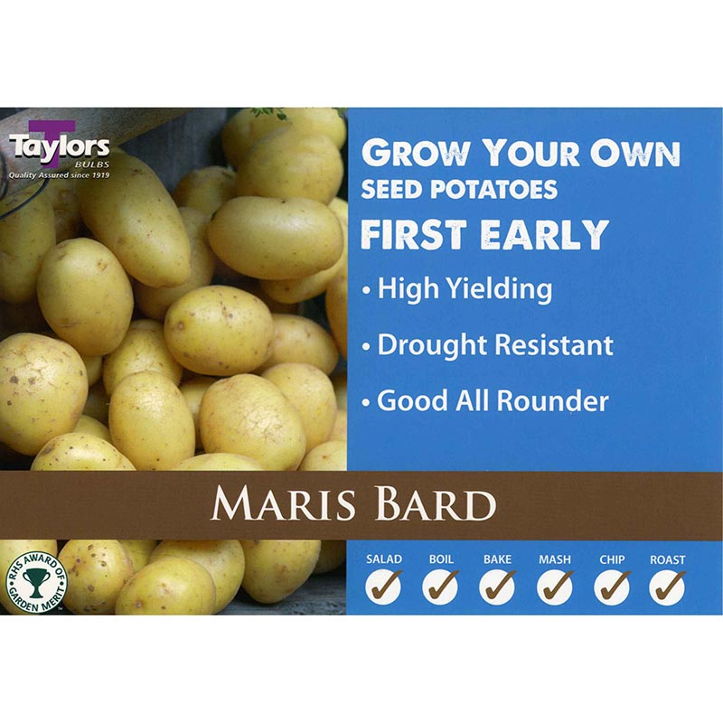 Maris Bard First Early Seed Potatoes image 0