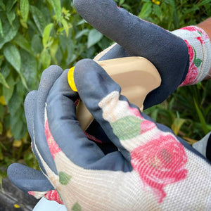 RoseClear 3 in 1 RTU Insecticide & Fungicide Spray image 3