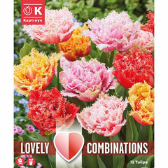 Tulip Double Crispa Combination Mix (12 bulbs) image 0