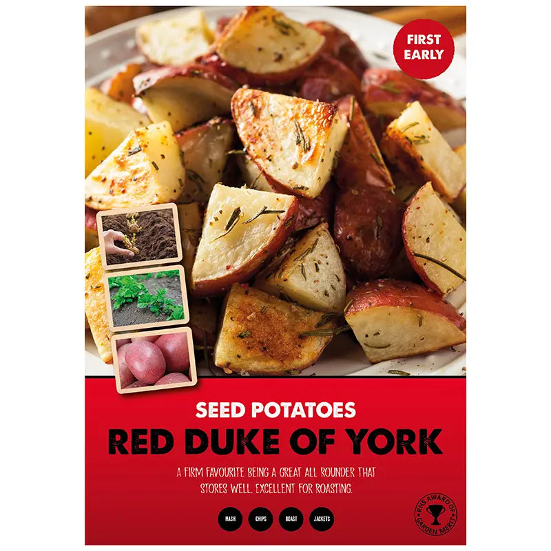 Red Duke of York First Early Seed Potatoes image 0