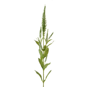 Floralsilk Veronica Spray (72cm) - Cream image