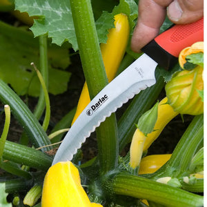 Darlac Harvest & Asparagus Knife image 1
