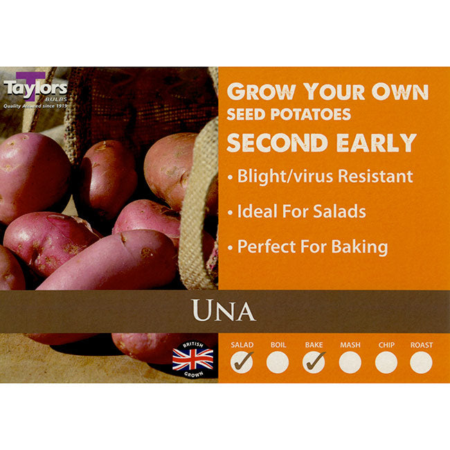 Sarpo Una Second Early Seed Potatoes image 0