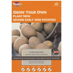 Carlingford Second Early Seed Potatoes - Pack of 10 image