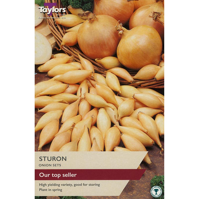 Sturon Onion Sets (Pack of 50) image 0