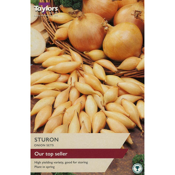 Sturon Onion Sets (Pack of 50) image 0