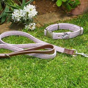 Zoon Walkabout Country Dog Collar Blush image 2