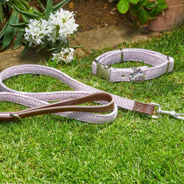 Zoon Walkabout Country Dog Collar Blush image 2