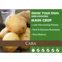 Cara Main Crop Seed Potatoes image 0