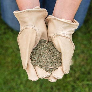Westland Gro-Sure Fine & Luxurious Lawn Seed 30m sq. image 1