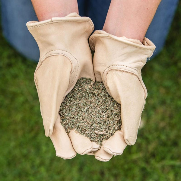 Westland Gro-Sure Fine & Luxurious Lawn Seed 30m sq. image 1